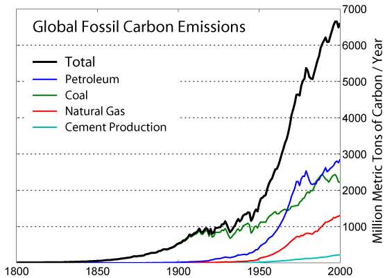 Annual Carbon Emissions