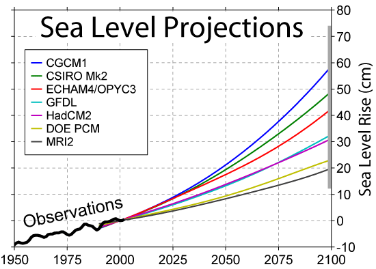 Sea Level Projections