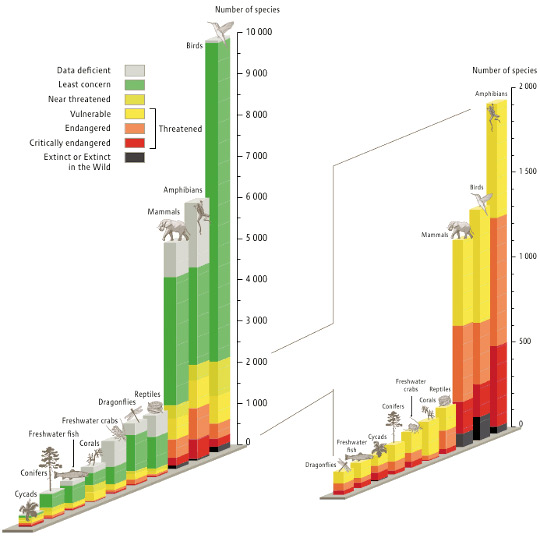 animal extinction chart