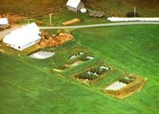 Image of constructed wetlands being used to treat agricultural runoff on a Department of Agriculture and Marketing farm in Nova Scotia.