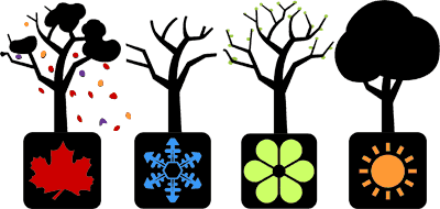 Image showing a tree in each of the four seasons.
