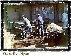 Image of Korean farmers working on a farm.