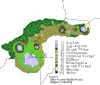 Image that shows the different types of vegetation in the primitive rainforest on the Virunga Mountains. This image links to a more detailed image.