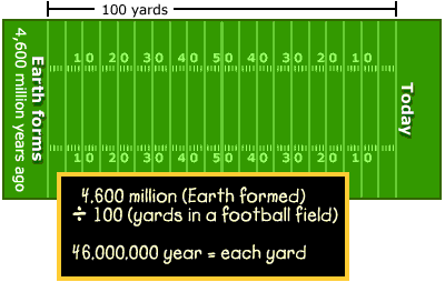 Earth Floor: Geologic Time