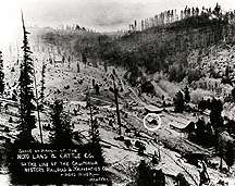 Image of a "cattle-ranch-to-be" in northern California, taken in 1905.