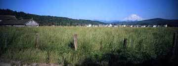 Image that is the left half of a panorama showing the view towards the southeast from the proposed site of the new high school.