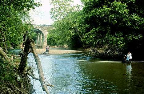 Image of lower Wheeling Creek site f: taken from ground level.