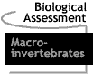 Image that says Macroinvertebrates.