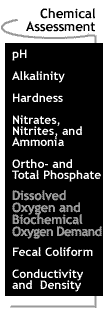 Image that says Dissolved Oxygen and Biochemical Oxygen Demand page.