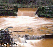 Image of Wheeling Creek contaminated by sewage runoff.